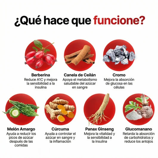 Berberina Líquida en Gotas · Extracto Botánico 30 ml