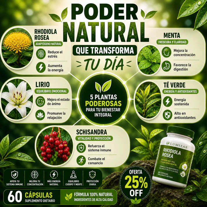 Fórmula Natural con Extractos de Rhodiola Rosea, Menta, Lirio, te verde y Schisandra- Sana tu cuerpo al 100%