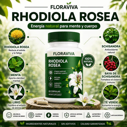 Fórmula Natural Premium con Rhodiola, Té Verde y Schisandra. ¡Revitaliza tu cuerpo al 100%!"