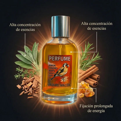 Perfume Espiritual Pájaro Macuá | COMPRA 1 • LLÉVATE 2 + Ebook de Prosperidad GRATIS 50% OFF
