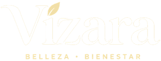 Vizara